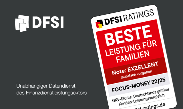 Deutsches Finanz-Service Institut